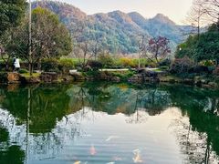 -中国茶叶博物馆(双峰馆区)