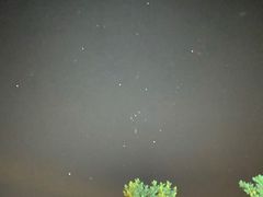 -上海怡沁园度假酒店