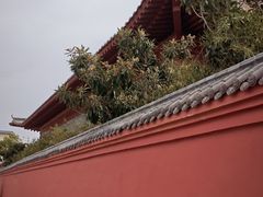 -洛阳周公庙博物馆