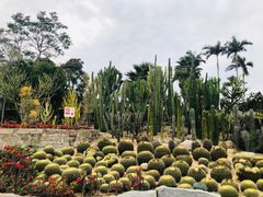 -胡里山炮台