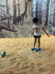 -恐龙探索乐园(磁器口店)