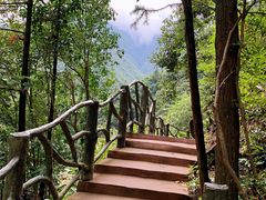 -藏龙百瀑风景区