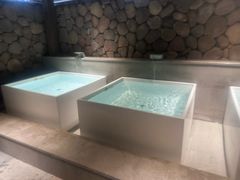 -漢頓温泉度假酒店
