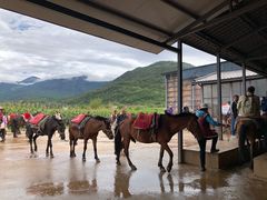 -丽江金茂凯悦臻选酒店-滇香馆