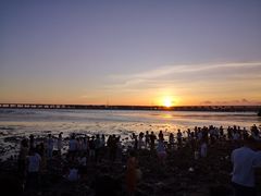 -宝安西湾红树林湿地公园