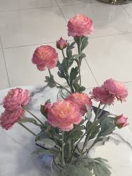 -八佰伴8008星级形象店