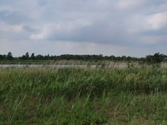 -盐城丹顶鹤湿地生态旅游区