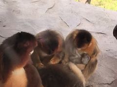 -宁波野生动物园