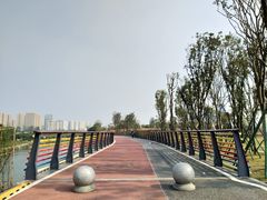-府河摄影公园