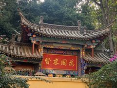 -萨尔瓦多Salvador's