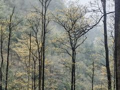 -藏龙百瀑风景区