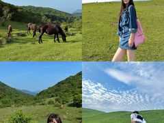 -大姆山草场