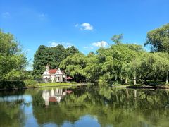 -上海共青森林公园