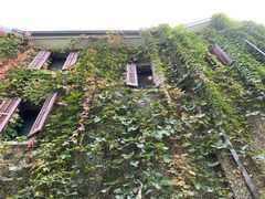 -思南书局(复兴中路店)