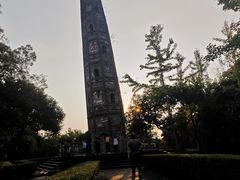 -上海佘山国家森林公园天马山园