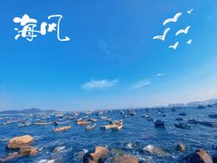 -海源公园