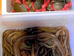 -瑞记湛江鸡饭店·粤西第一鸡(粤垦店)