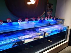 -鸽子侯·家宴·平价海鲜(市图书馆店)