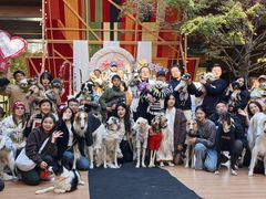 -瑞虹新天地月亮湾