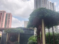 -御彩酒家(东风东路店)