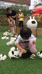 -萌宠亲子动物乐园(槐房万达店)