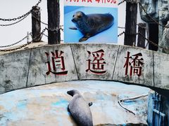-合肥野生动物园