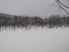 -重庆南山海昌汤都