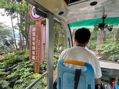 -南诏风情岛