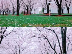 -龙美术馆(西岸馆)