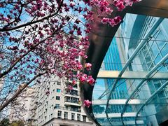 -上海来福士广场