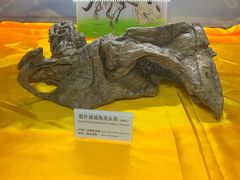 -诸城市恐龙博物馆