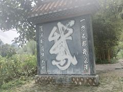 -靖西鹅泉风景区