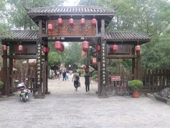 -合肥滨湖国家森林公园