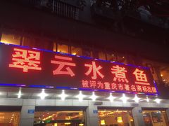 -翠云水煮鱼(双龙大道店)