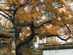 -南京市民俗博物馆(甘熙故居)