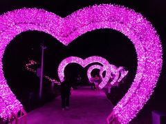-莫子山公园