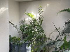 -漫笙舍Manse·咖啡·民宿