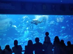 -多彩贵州城极地海洋世界