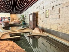 -天目湖涵田半山温泉