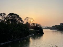 -江心屿景区