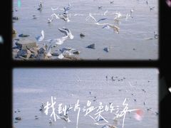 -深圳湾公园(南山区)