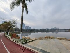 -洛龙公园