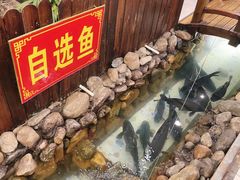 -俊家铁锅炖(迎宾西大街店)