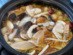 -蘑统田下·野生菌火锅