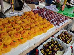 -长春公园(普阳街道)