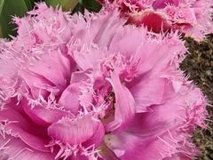 -上海植物园-4号门售票处