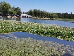 -长春市南湖公园