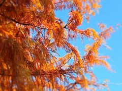 -南京市无想山景区