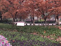 -赭山公园