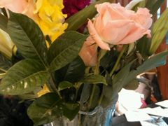 -湘君府(新华路店)